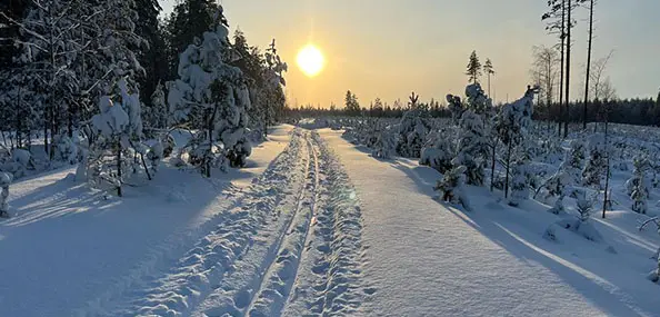 Skiën in Saimaa