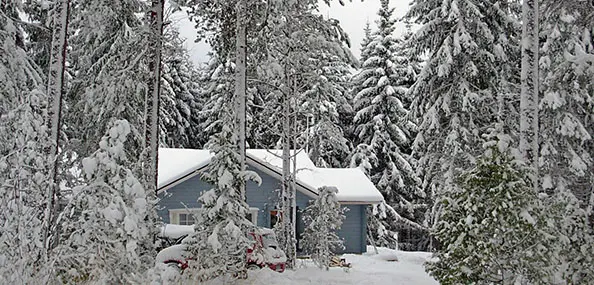 Winter 1