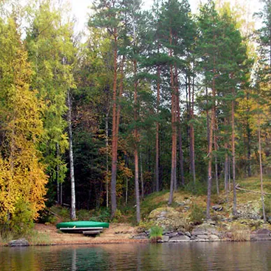 Omgeving