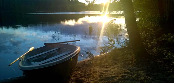 Zomer 2
